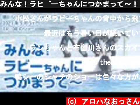 みんな！ラビーちゃんにつかまって〜！【2021年5月31日朝14:00のショー】Orca performance, Kamogawa Sea World, Japan  (c) アロハなおっさん