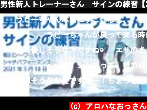 男性新人トレーナーさん　サインの練習【2021年5月10日】Orca performance, Kamogawa Sea World, Japan  (c) アロハなおっさん