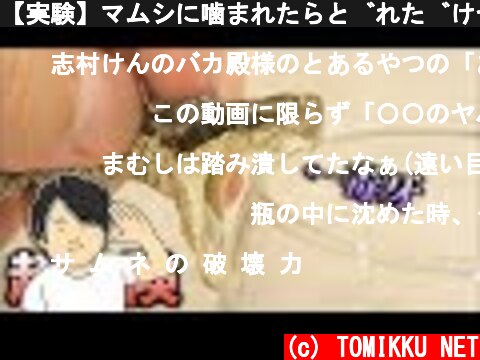 【実験】マムシに噛まれたらどれだけヤバイかわかる動画  (c) TOMIKKU NET