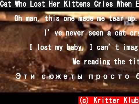 Cat Who Lost Her Kittens Cries When Embracing An Abandoned Kitten | Animal in Crisis EP59  (c) Kritter Klub