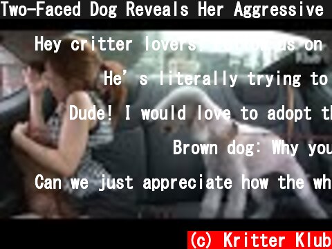 Two-Faced Dog Reveals Her Aggressive Persona Right At 'This' Moment | Kritter Klub  (c) Kritter Klub