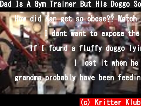 Dad Is A Gym Trainer But His Doggo Son Is Extremely Obese | Kritter Klub  (c) Kritter Klub