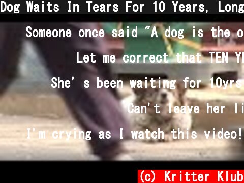 Dog Waits In Tears For 10 Years, Longing For Her Owner To Come Back | Animal in Crisis EP60  (c) Kritter Klub
