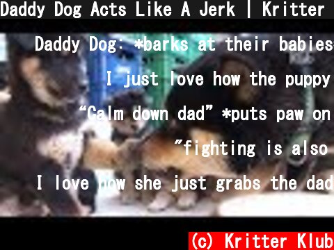 Daddy Dog Acts Like A Jerk | Kritter Klub  (c) Kritter Klub