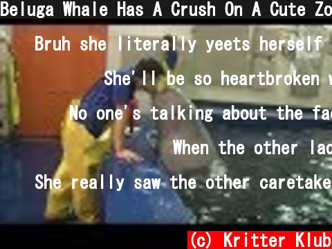 Beluga Whale Has A Crush On A Cute Zookeeper | Kritter Klub  (c) Kritter Klub
