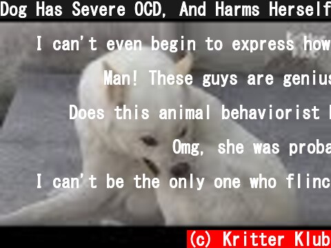 Dog Has Severe OCD, And Harms Herself | Animal in Crisis EP21  (c) Kritter Klub