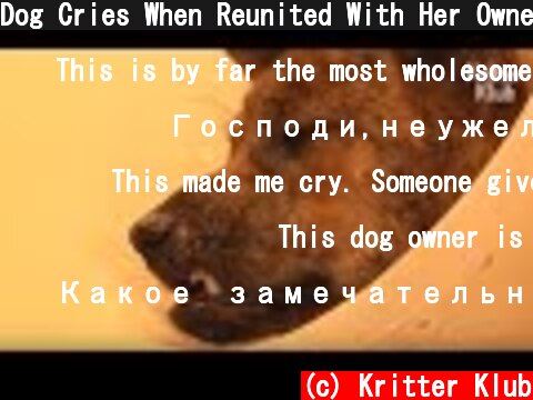 Dog Cries When Reunited With Her Owner Again After Surgery (Part 2) | Animal In Crisis EP55  (c) Kritter Klub