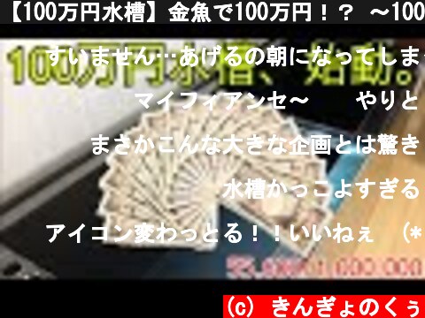 【100万円水槽】金魚で100万円！？ 〜100万円水槽プロジェクト、始動〜  (c) きんぎょのくぅ