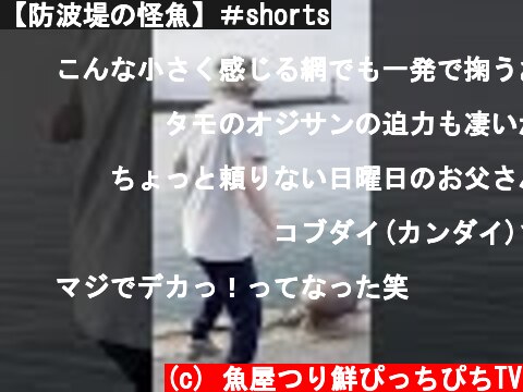 【防波堤の怪魚】＃shorts  (c) 魚屋つり鮮ぴっちぴちTV