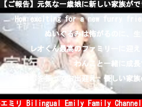 【ご報告】元気な一歳娘に新しい家族ができました😆  (c) バイリンガルエミリ Bilingual Emily Family Channel