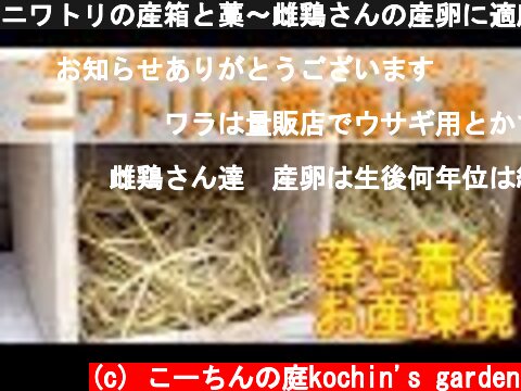 ニワトリの産箱と藁～雌鶏さんの産卵に適度な大きさ、ワラの敷き方～  (c) こーちんの庭kochin's garden