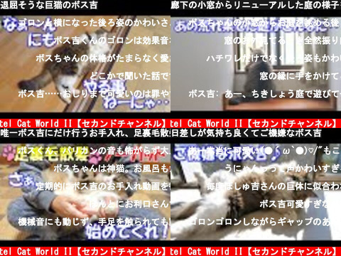 Pastel Cat World II【セカンドチャンネル】（おすすめch紹介）