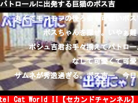パトロールに出発する巨猫のボス吉  (c) Pastel Cat World II【セカンドチャンネル】