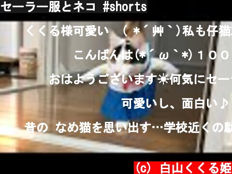セーラー服とネコ #shorts  (c) 白山くくる姫