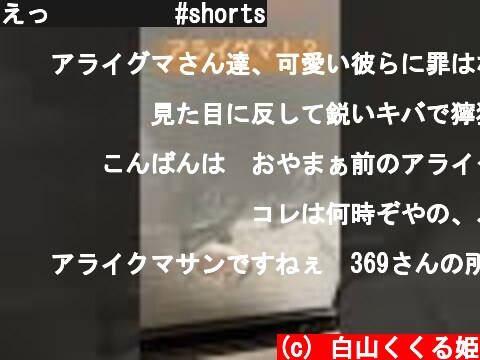 えっ❗️❗️❓#shorts  (c) 白山くくる姫