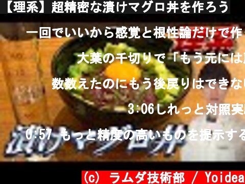 【理系】超精密な漬けマグロ丼を作ろう  (c) ラムダ技術部 / Yoidea