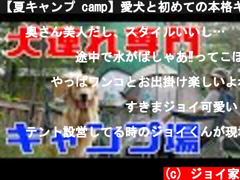 【夏キャンプ camp】愛犬と初めての本格キャンプしてきた！Romperdog Run&Site  (c) ジョイ家