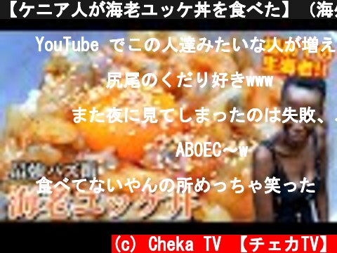 【ケニア人が海老ユッケ丼を食べた】（海外の反応）  (c) Cheka TV 【チェカTV】
