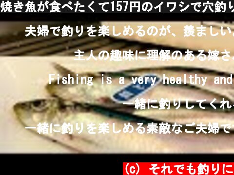 焼き魚が食べたくて157円のイワシで穴釣りに行きました  (c) それでも釣りに