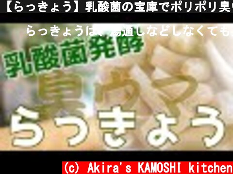 【らっきょう】乳酸菌の宝庫でポリポリ臭ウマ　らっきょう塩漬けの作り方  (c) Akira's KAMOSHI kitchen