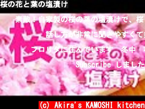 桜の花と葉の塩漬け  (c) Akira's KAMOSHI kitchen