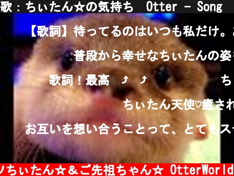歌：ちぃたん☆の気持ち　Otter - Song　ペットを飼われている全ての方へ  (c) コツメカワウソちぃたん☆＆ご先祖ちゃん☆ OtterWorld