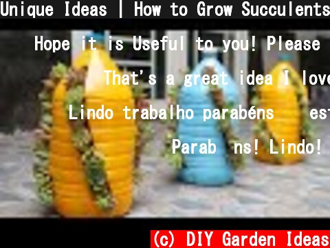 Unique Ideas | How to Grow Succulents in Plastic Bottles easily  (c) DIY Garden Ideas