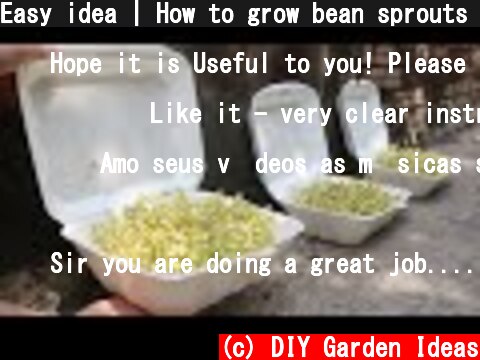 Easy idea | How to grow bean sprouts in Styrofoam Box at home for beginners  (c) DIY Garden Ideas