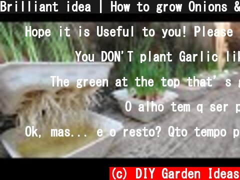 Brilliant idea | How to grow Onions & Garlic in Styrofoam Box for beginners  (c) DIY Garden Ideas