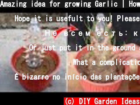 Amazing idea for growing Garlic | How to grow Garlic in plastic bottles  (c) DIY Garden Ideas