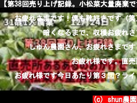【第38回売り上げ記録。小松菜大量廃棄です】  (c) shun農園