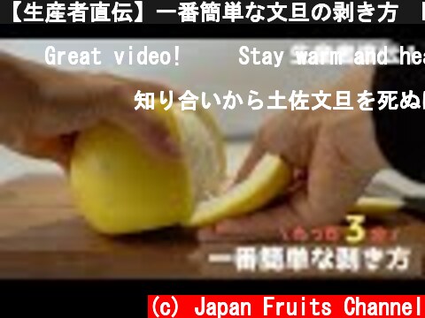 【生産者直伝】一番簡単な文旦の剥き方  how to peel pomelo  (c) Japan Fruits Channel