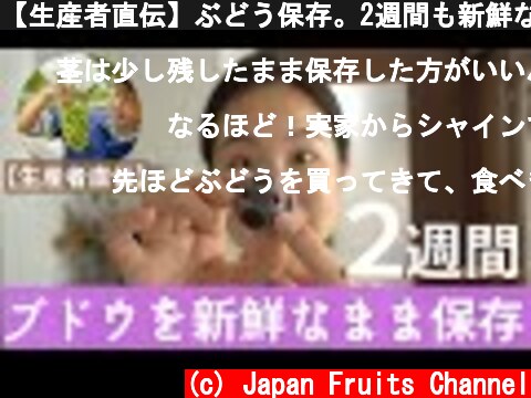 【生産者直伝】ぶどう保存。2週間も新鮮なまま保存できるの？！  (c) Japan Fruits Channel