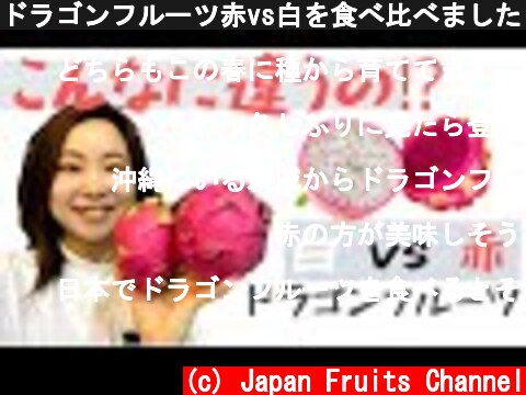ドラゴンフルーツ赤vs白を食べ比べました！同じ種類なのに、こんなに違うの⁉️と驚きいっぱいです。  (c) Japan Fruits Channel