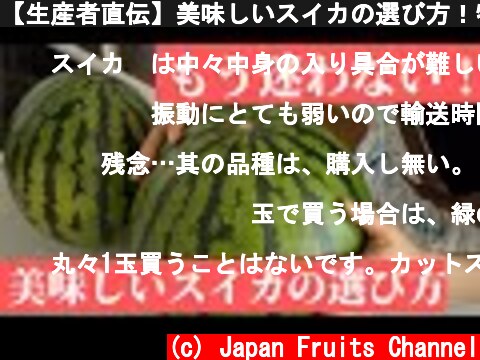 【生産者直伝】美味しいスイカの選び方！特徴3つを押さえて美味しいスイカを見分けよう。  (c) Japan Fruits Channel