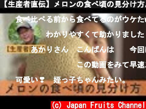 【生産者直伝】メロンの食べ頃の見分け方。美味しいタイミングに食べると糖度が高い！  (c) Japan Fruits Channel
