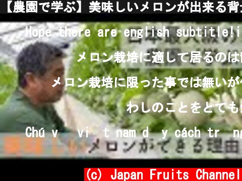 【農園で学ぶ】美味しいメロンが出来る背景！こんな農園のメロン狩りに行きたいな♪Japan Agriculture Technology, Melon farming.  (c) Japan Fruits Channel