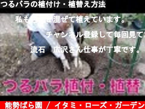 つるバラの植付け・植替え方法  (c) 能勢ばら園 / イタミ・ローズ・ガーデン