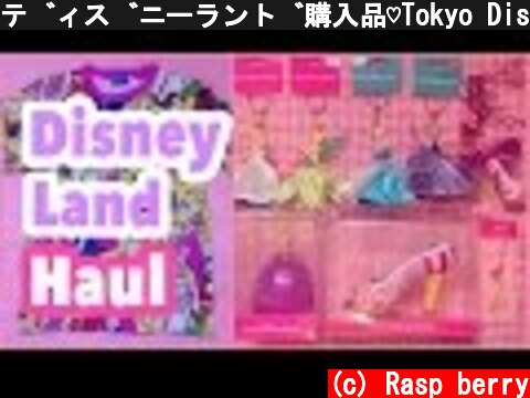 ディズニーランド購入品♡Tokyo Disneyland Haul  (c) Rasp berry