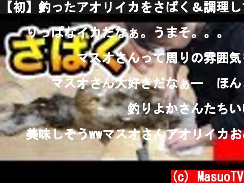 【初】釣ったアオリイカをさばく＆調理して食べる！  (c) MasuoTV