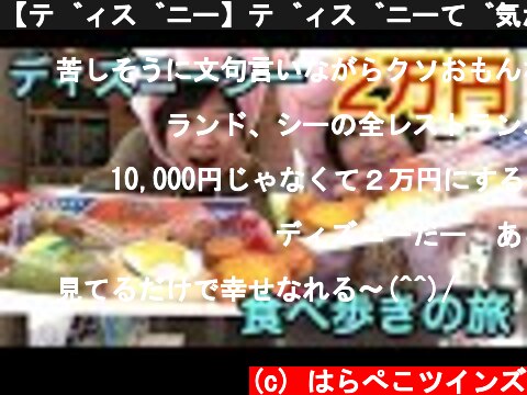 【ディズニー】ディズニーで気が付いたら２万円食べ歩きの旅！【大食い】  (c) はらぺこツインズ