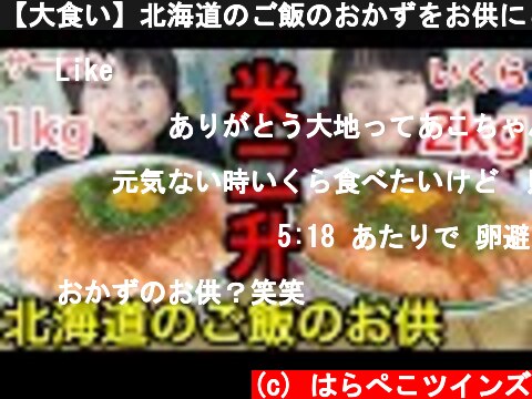 【大食い】北海道のご飯のおかずをお供にご飯二升！いくら１kg・サーモン１kg！【双子】  (c) はらぺこツインズ