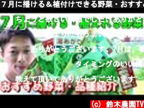 ７月に播ける＆植付けできる野菜・おすすめ品種紹介  (c) 鈴木農園TV