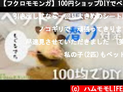 【フクロモモンガ】100円ショップDIYでペットシーツ潜り対策  (c) ハムモモLIFE