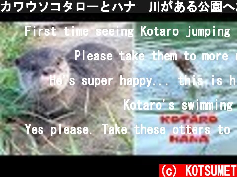 カワウソコタローとハナ　川がある公園へお散歩【後編】　Otter Kotaro&Hana Take a Walk On the Riverside Part2  (c) KOTSUMET