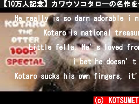 【10万人記念】カワウソコタローの名作を一気に見せます！赤ちゃん編　100K SUB SPECIAL! Kotaro the Baby Otter  (c) KOTSUMET