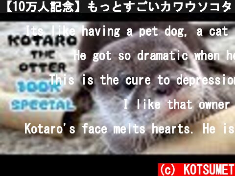 【10万人記念】もっとすごいカワウソコタローの名作を一気に見せます！　100K SUB SPECIAL! Kotaro the Otter Best Memories  (c) KOTSUMET