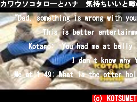 カワウソコタローとハナ　気持ちいいと噂のグローブブラシを使ってみた　Otter Kotaro&Hana Magic Pet Grooming Glove  (c) KOTSUMET