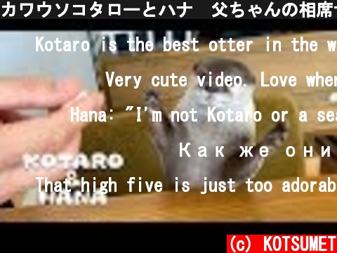 カワウソコタローとハナ　父ちゃんの相席ササミ食堂　Otter Kotaro&Hana Love Chicken  (c) KOTSUMET