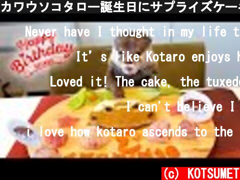 カワウソコタロー誕生日にサプライズケーキでフレンチパーティー！　Otter Kotaro Happy Birthday Cake Surprise Party!  (c) KOTSUMET